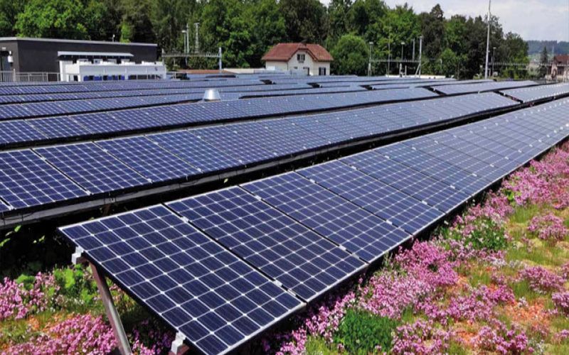 Ein Dach – viele Funktionen Ein Dach – viele Funktionen