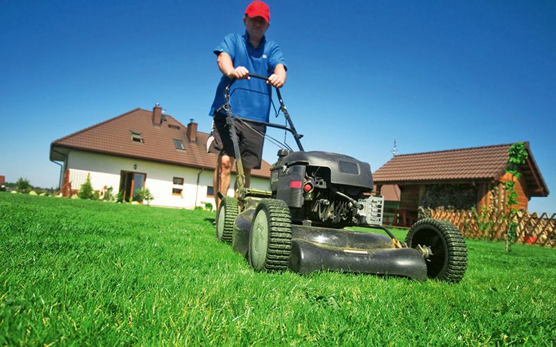 Den Rasen in Frühjahrslaune bringen