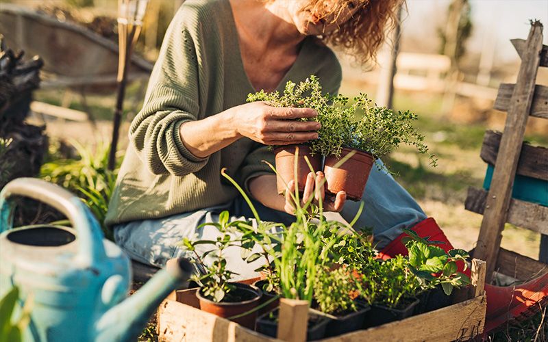 So blüht der Garten nachhaltig auf So blüht der Garten nachhaltig auf