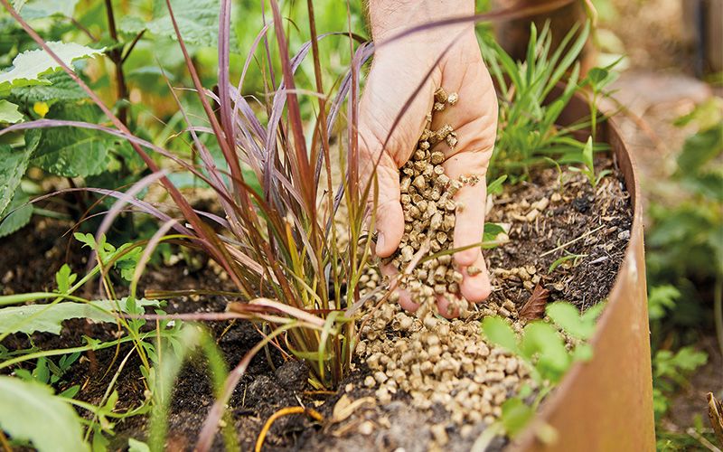 Schutzschild fürs Gartenbeet